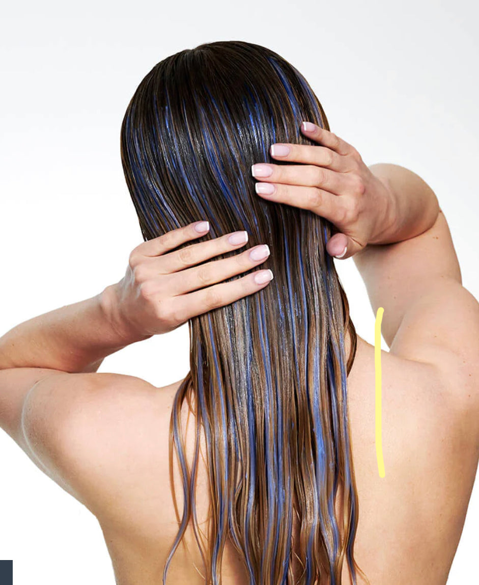 SILVER SHINE CONDITIONER