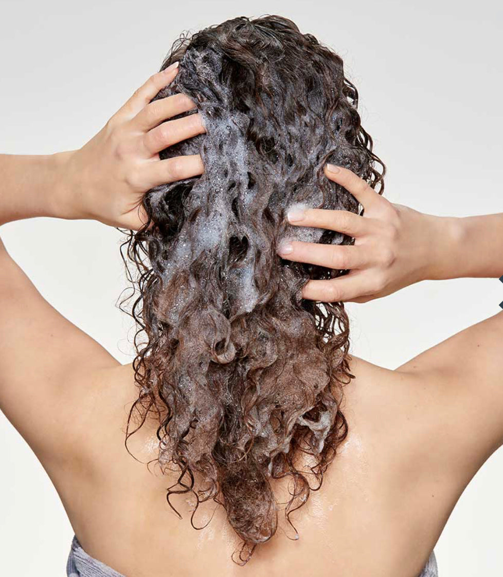 CURL PASSION SHAMPOO