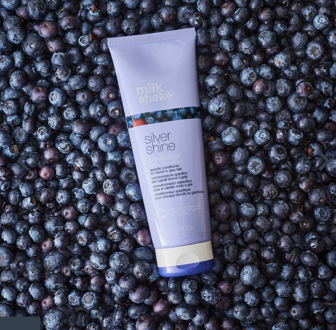 SILVER SHINE CONDITIONER