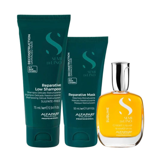 ALFAPARF RECONSTRUCTION TRAVEL SET